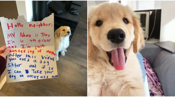 10-year-old boy is supper thrilled for his neighbors’ new dog
