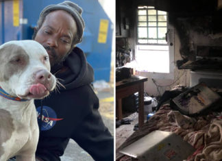 Homeless man risks his life saving animals from a burning shelter