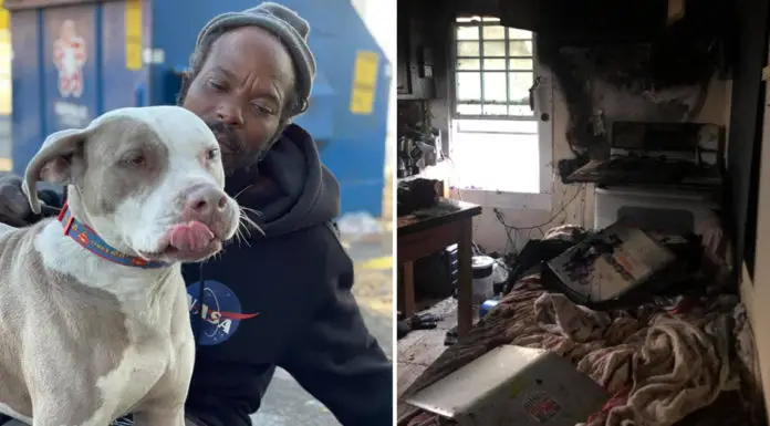 Homeless man risks his life saving animals from a burning shelter