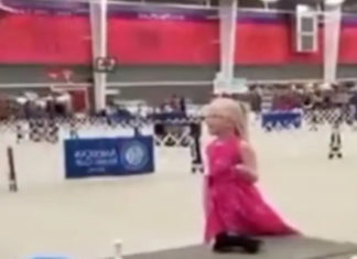 Judge at a dog show approaches little girl with autism and asks her to show her stuffed pup