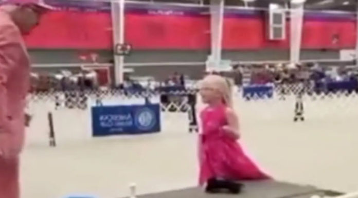 Judge at a dog show approaches little girl with autism and asks her to show her stuffed pup