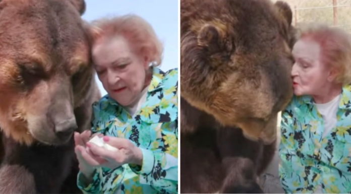 Actress Betty White, who turned 99 this year, gives a grizzly bear a kiss