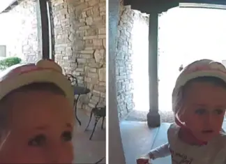7-year-old girl pleads for help in neighbor’s door cam after stumbling upon a wild bobcat