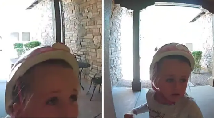 7-year-old girl pleads for help in neighbor’s door cam after stumbling upon a wild bobcat
