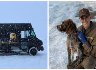 Hero UPS driver jumps into icy pond to save a drowning dog