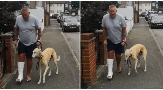 Dog fakes limp out of sympathy for his owner who hurt his ankle