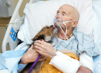 Vietnam veteran’s dying wish was to see his beloved Yorkshire Terrier one last time