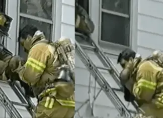 Firefighter saves baby’s life by giving her CPR while swiftly climbing down the ladder