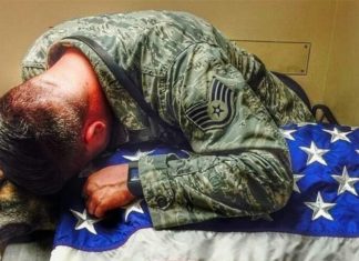 Soldiers say final goodbye to K-9 by covering his body with American flag