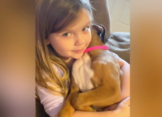 Cute girl sings her boxer puppy a lullaby to sleep