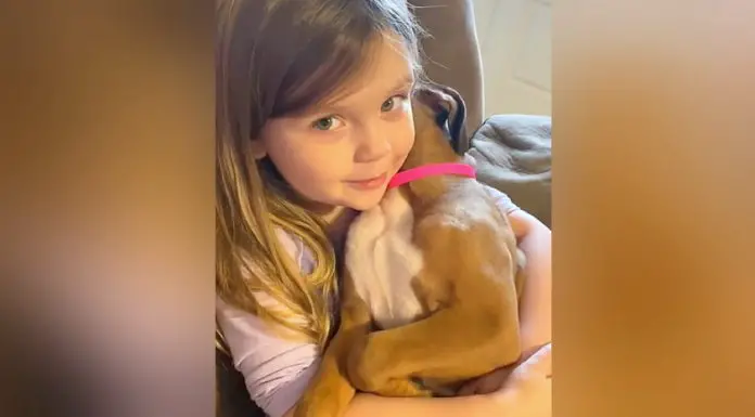 Cute girl sings her boxer puppy a lullaby to sleep