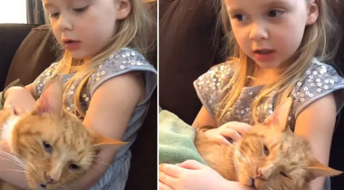 Little girl sings touching song to her cat before he passes