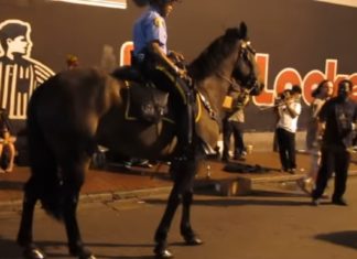 Police horse spots a jazz band playing on the street and starts dancing