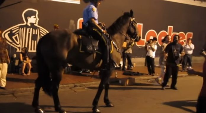 Police horse spots a jazz band playing on the street and starts dancing