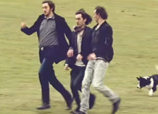 Border Collie herds unusual “flock of sheep” for St. Patrick’s Day