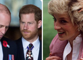 The royal brothers are reuniting for statue of late mother Princess Diana which will be unveiled on her birthday
