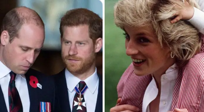 The royal brothers are reuniting for statue of late mother Princess Diana which will be unveiled on her birthday