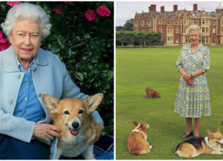 Queen Elizabeth gets new Corgi puppy from Prince Andrew for her “official birthday”