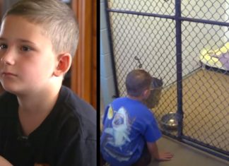 Adopted boy who is dedicated to saving old shelter canines so “they don’t feel the way he did” asks to hold a dying dog for one last time