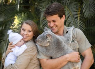 Bindi Irwin shares a photo of daughter Grace meeting a koala for the first time