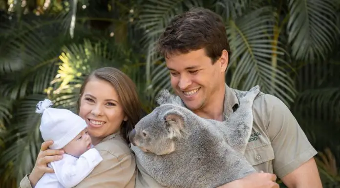 Bindi Irwin shares a photo of daughter Grace meeting a koala for the first time