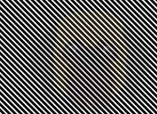 Check out how good your vision is with this vision puzzle