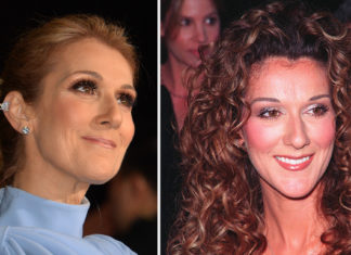 Céline Dion posts new throwback picture from 25 years ago and we feel nostalgic