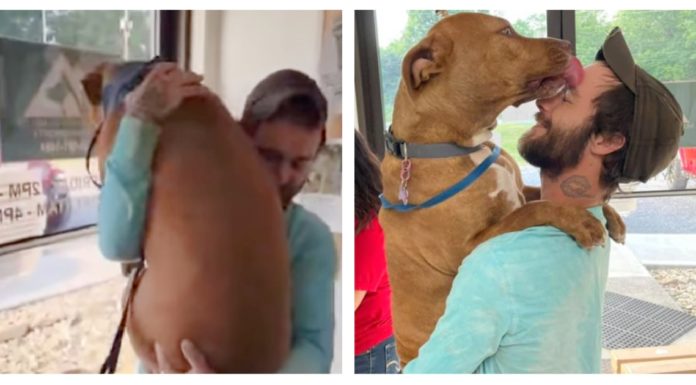 Devastated owner reunites with service dog after thief steals his car with the dog inside