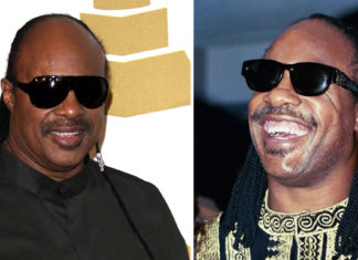 Stevie Wonder opens up about his life and how he lost his sight
