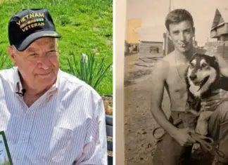 Vietnam vet makes a promise to rescue 50,000 dogs in honor of the K9 he left behind