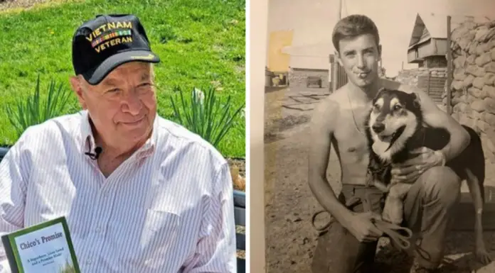 Vietnam vet makes a promise to rescue 50,000 dogs in honor of the K9 he left behind