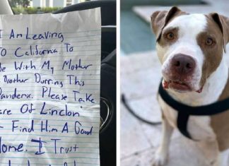 Owner ties dog to neighbor’s tree in the middle of the night along with a note on his financial situation