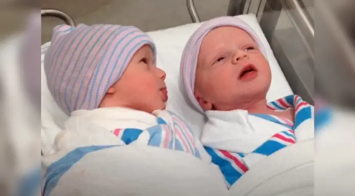 Newborn twin babies communicate with each other an hour after delivery to make sure they are okay