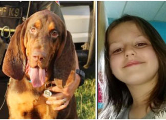 K9 Bloodhound tracks down an abducted 6-year-old girl using his sense of smell