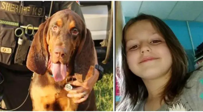K9 Bloodhound tracks down an abducted 6-year-old girl using his sense of smell