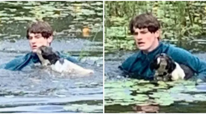 Teen on a trip to Wales jumps into lake to save stranger’s dog from drowning
