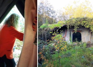 Woman living in the woods of Wales gives tour of her tiny earthen home