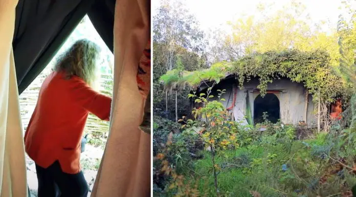 Woman living in the woods of Wales gives tour of her tiny earthen home