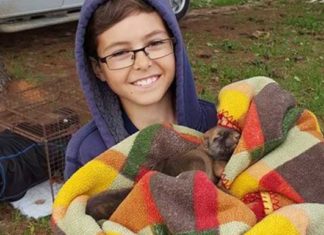 7 amazing animal rescue stories involving children