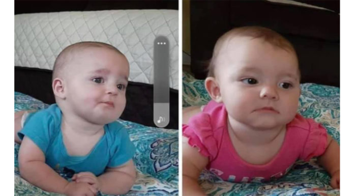 Bodies of twin babies swept away in Tennessee flooding found after an extensive search