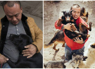 Millionaire spends his entire fortune turning slaughterhouse into a dog sanctuary