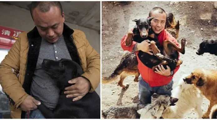 Millionaire spends his entire fortune turning slaughterhouse into a dog sanctuary