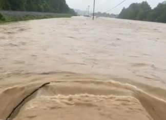 Man on a mission to locate his daughter spots truck stranded in floodwaters – saves couple and their three dogs