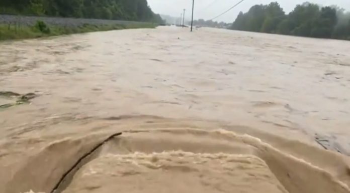 Man on a mission to locate his daughter spots truck stranded in floodwaters – saves couple and their three dogs