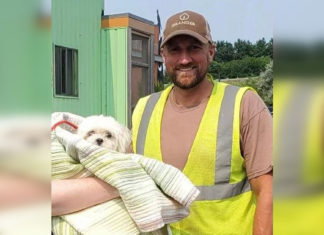 Garbage truck driver spots tiny dog in trash collection and saves her life