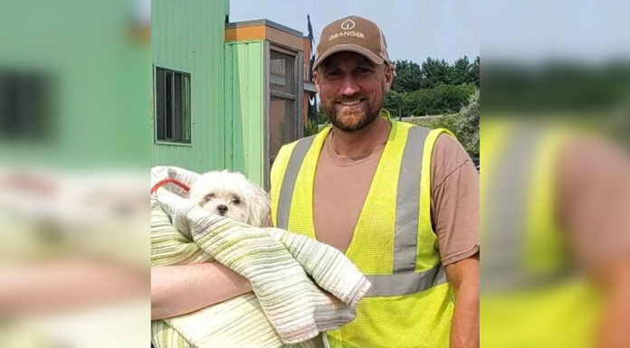 Garbage truck driver spots tiny dog in trash collection and saves her life