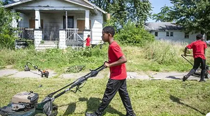 Kid brothers set up a lawn care business during the summer and it’s a huge success