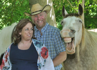 Smiling horse steals the show by photobombing couple’s maternity photoshoot