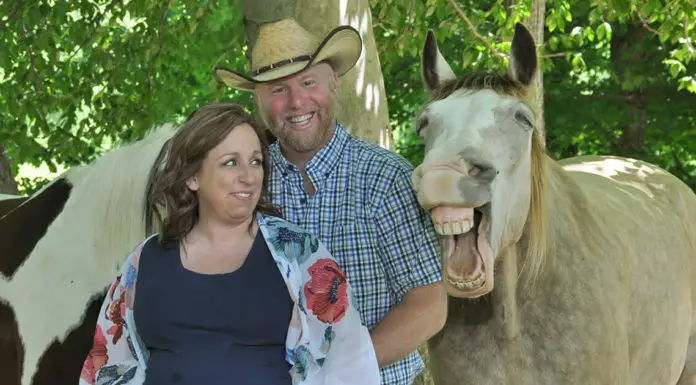 Smiling horse steals the show by photobombing couple’s maternity photoshoot
