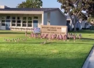 Teacher who rejected The Star-Spangled Banner faces fury as parents decorate the school area with US flags
